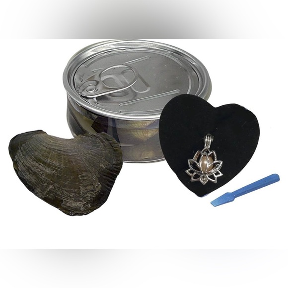 My Inspirations Precious Pearl Pearl in Oyster Kit,Mysterious Pearl DIY Necklace - Picture 3 of 11